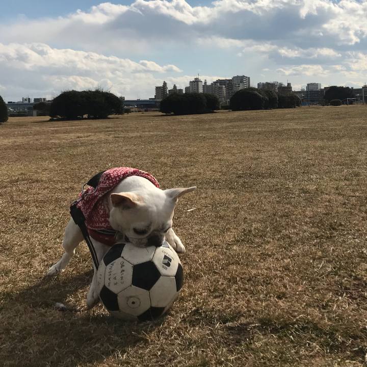 02257204 ac5a 45d8 a007 78b6919e6ed9 1518781447859