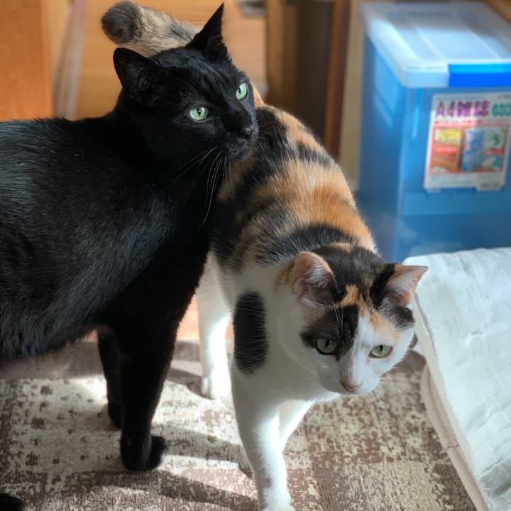 02259191 db87 428d 8d35 47ba207d3d53 1596761639141