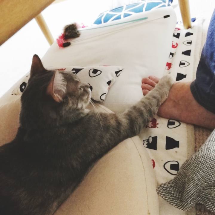 0225d38a 2fc3 4abd 91f5 a31f51c790f1 1526208587574