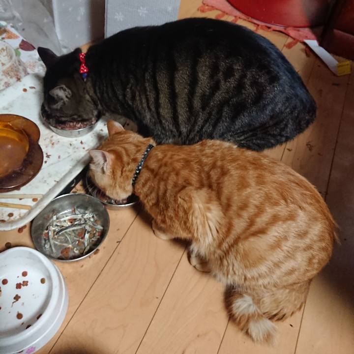 0225fe7d ad24 465d b0aa 960798145ec1 1642158292368