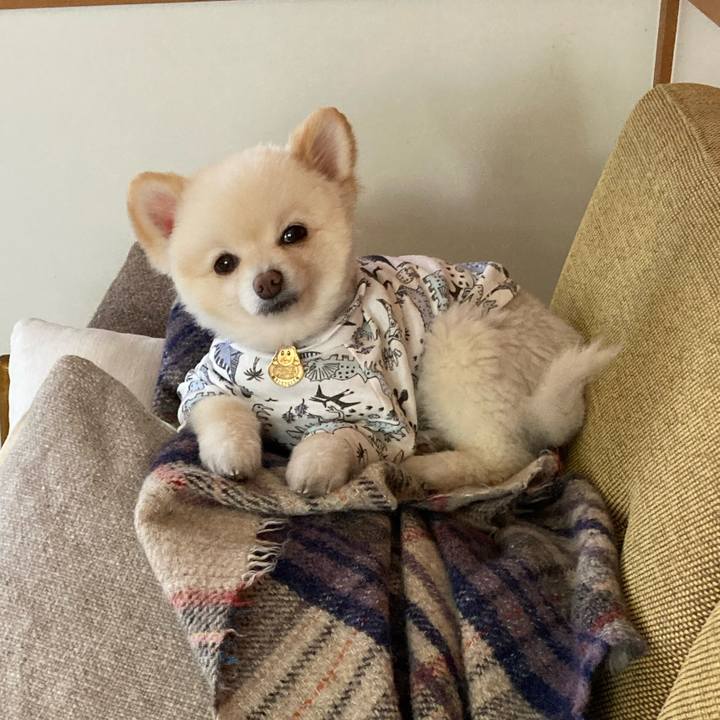 022604cc 9f3f 4739 a431 4ce46efeb8ae 1639568355344