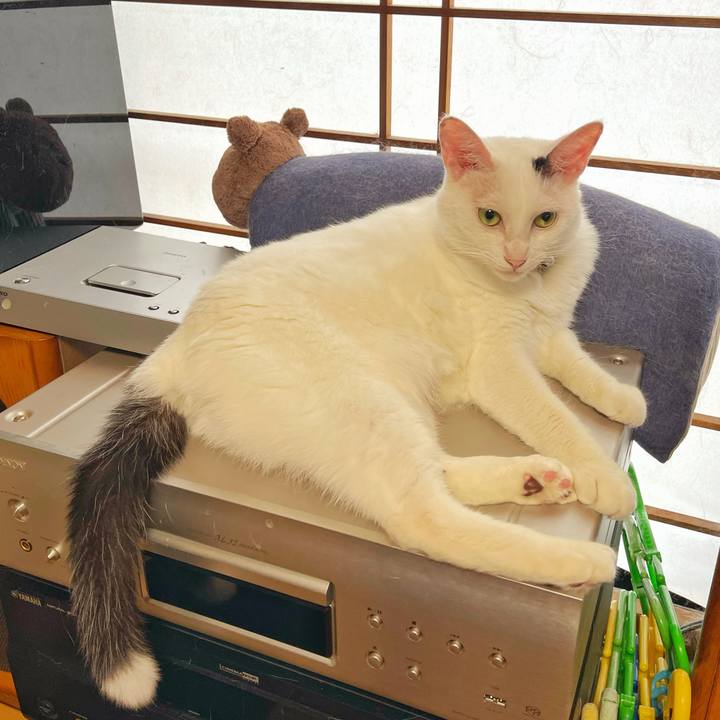 022609a7 10bb 423e 9b11 9fffc6802d0f 1756087094195