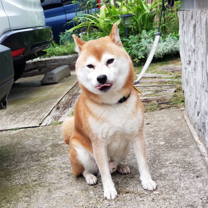 02261eb3 47ed 4a27 919f 583fefdff3f9 1569054501381