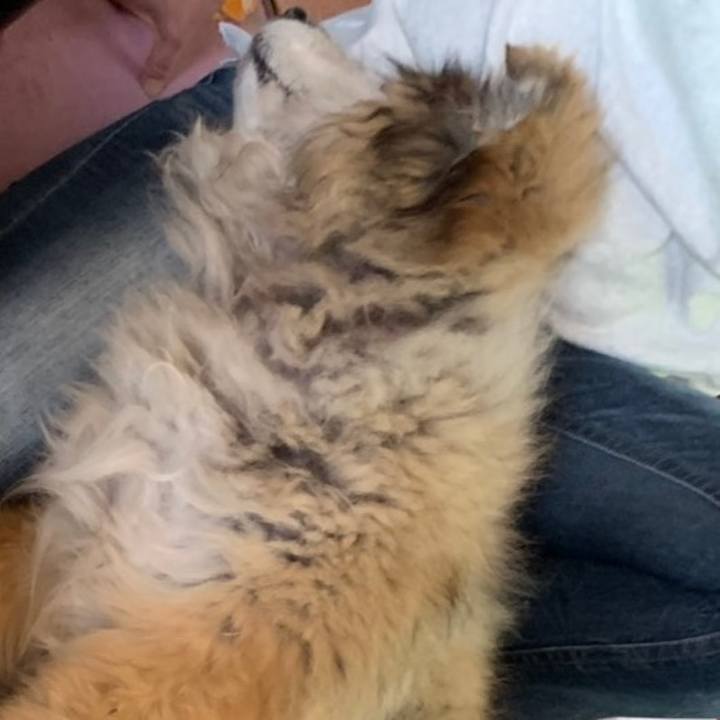 022621d1 c931 4b52 9b75 1357bfe7adab 1657240563664