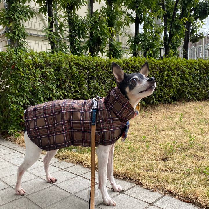 022658a4 c393 46e1 a7ea a69d31505e93 1584140637785