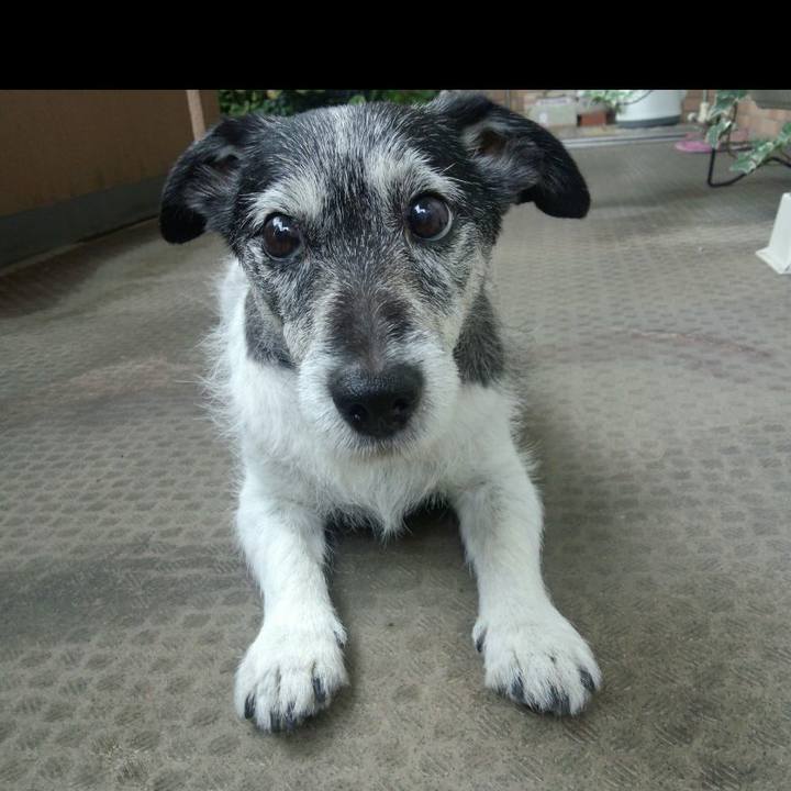 02266f67 96f7 418c 8039 d22c38f4c6c2 1597279406489