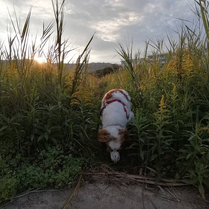 02267313 3fff 42d0 a163 9f4af98d83b9 1573429736618