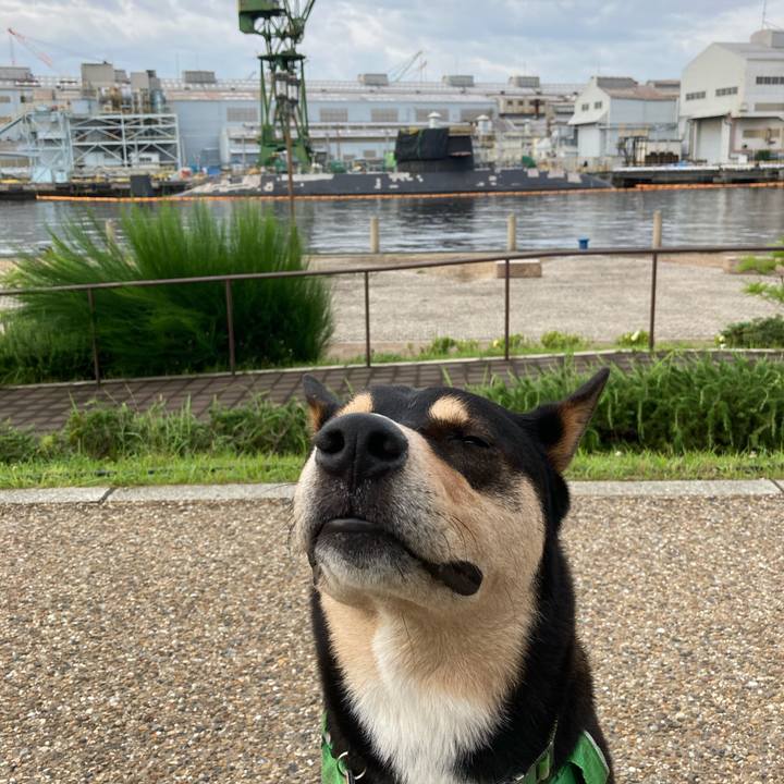 0226933a 310d 4480 9c31 472400f72f9d 1592208720313