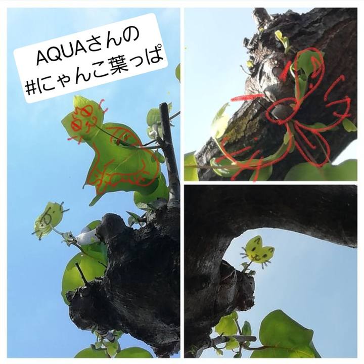 0226cc3b a953 42fc 98e2 cf651d1c1daf 1714143237403