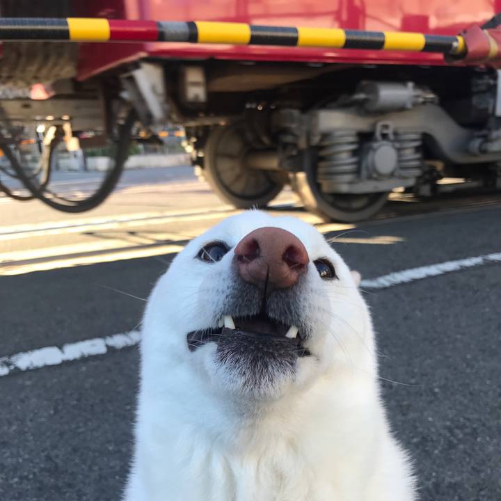 0226f30f ae43 4b6d 8a86 e68d4486f974 1517874734404