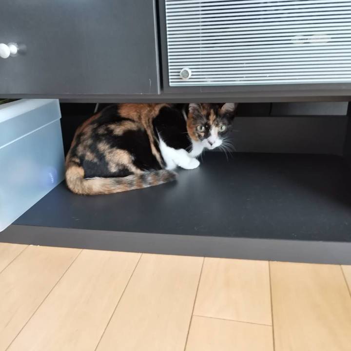 02271d69 53a0 4102 a370 07bb1c417869 1664164021801