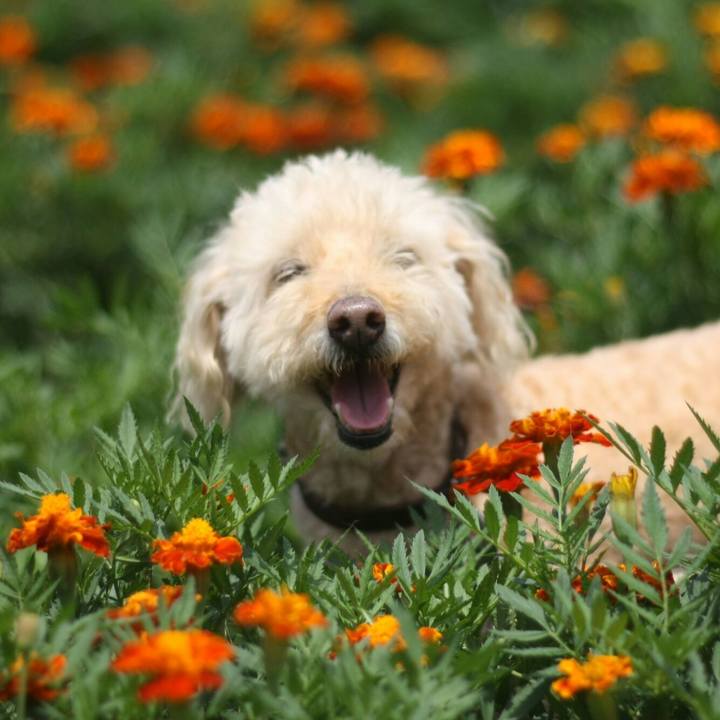 022755df c98b 4893 b118 3edcbac1e4c0 1626599162760