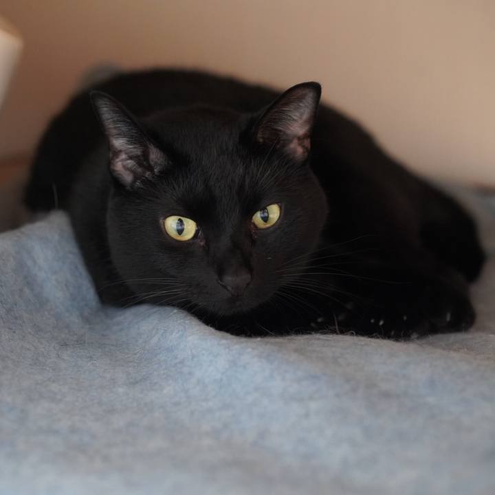 02279076 d7ee 4569 9756 f58302b5ce22 1631054569380