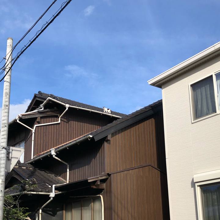 022793cb 54c9 4785 a9ae c54ad406207b 1627081190791