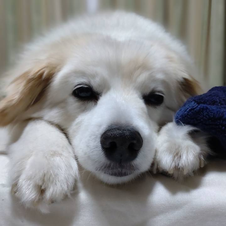 02279dc8 585f 48cc 82c3 99d407317c27 1652649127255