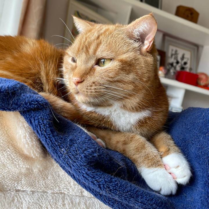 0227b585 ad6b 4102 a7a5 f5b0f621ee61 1646453201129