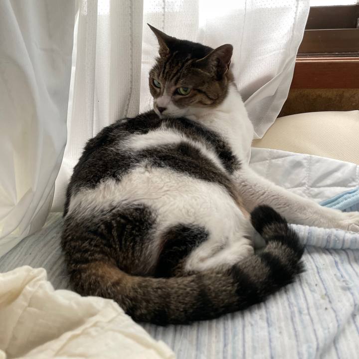 0227cf9f b371 4c1b afe7 0b976ee72cc0 1656296759767