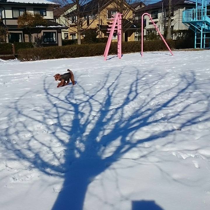 022824aa c51a 497e 933a a263618461d0 1517361695258