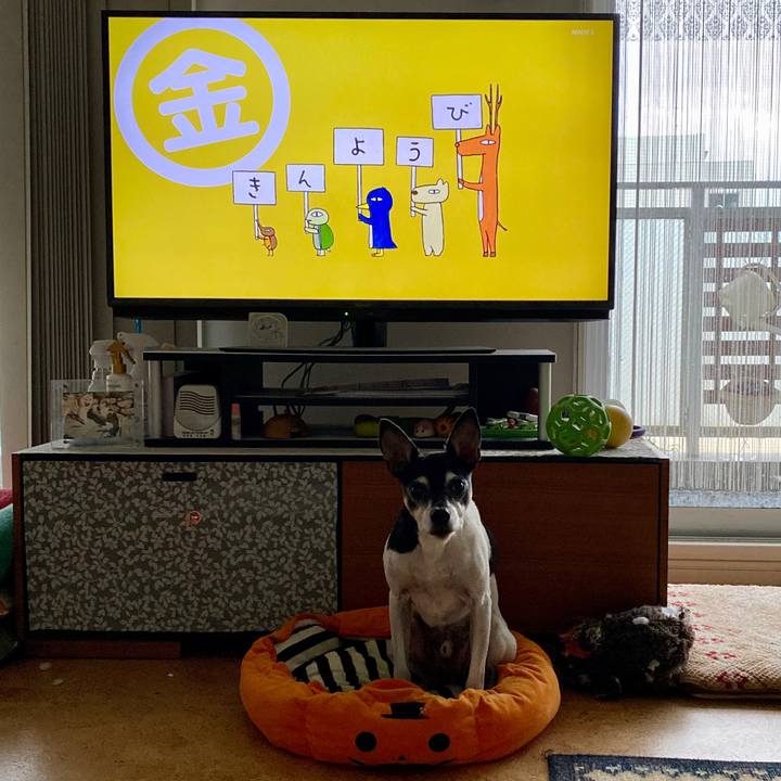 022830ee 48cc 41f0 97b8 74467bf5f694 1605219088523