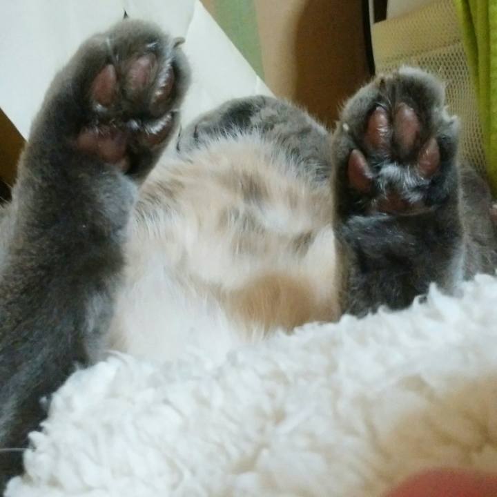 0228702d 85b8 444d 9ecd e459e0feee9d 1558185380393