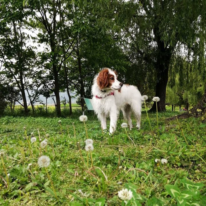 02287132 87db 40c7 b982 4f44d27378e3 1619592846251