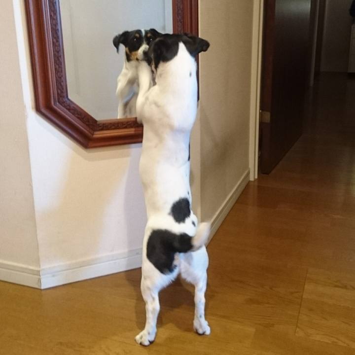 02289ddd 3813 472e b1e6 ddcbad5da346 1552089567024