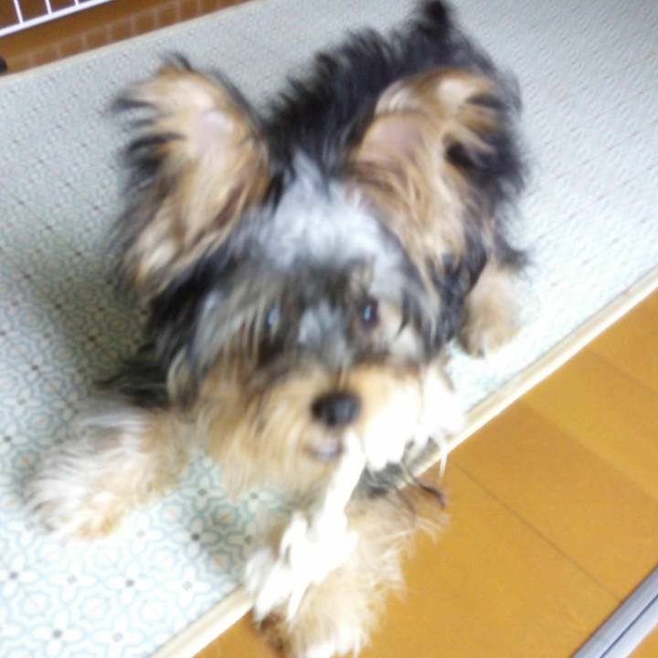 0228a7dd aba5 4233 be33 d4fefb7fa57f 1534246320951