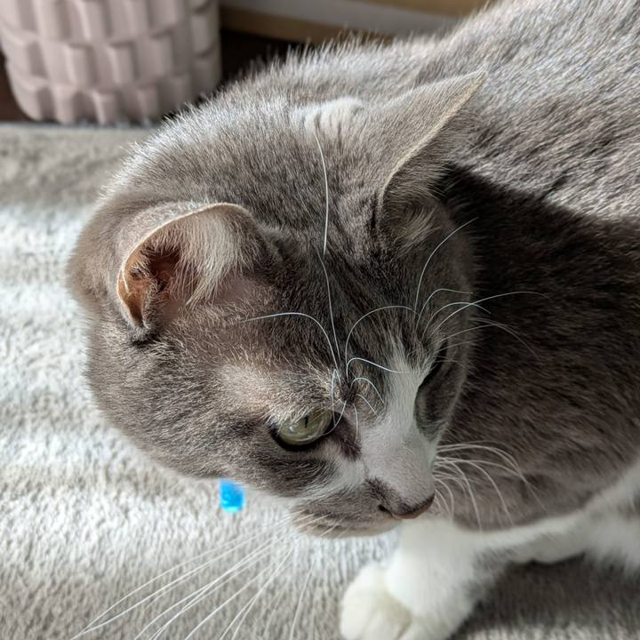 0228db37 c5a4 40d2 ba00 3b76928a6b94 1734408293919