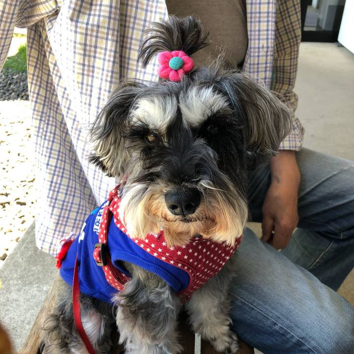 02291e81 6f47 4028 9dd0 004172967ea7 1558254266012