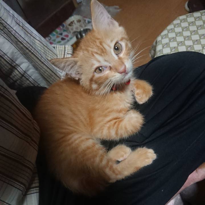 02293958 80f2 457b 9067 159001ce0719 1629146641937