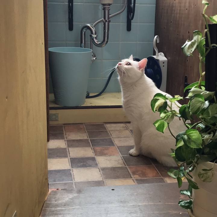 02295ff0 4b04 467b b299 fec403f9cc39 1558520788751