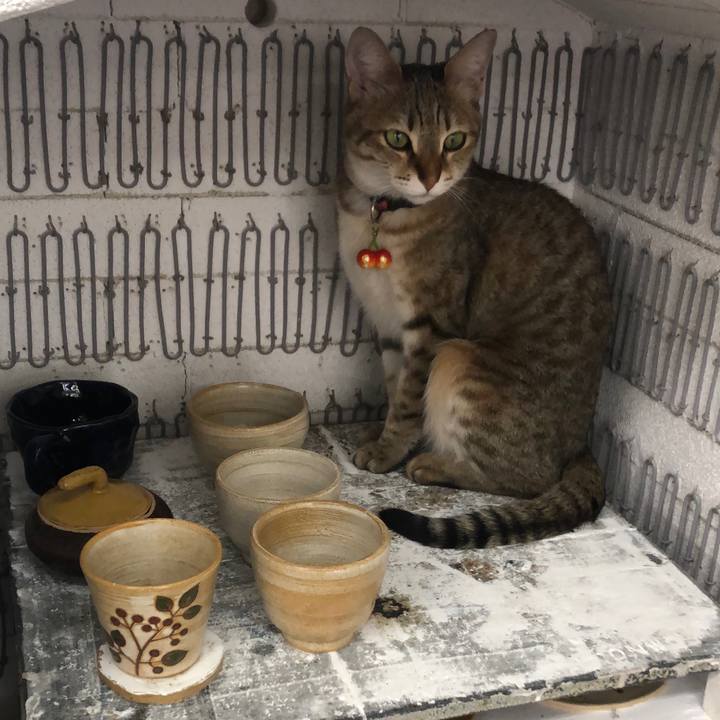 02296449 d790 459e 8499 2eb47f2b5fd5 1650429526245