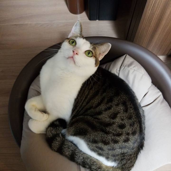 0229868b 2dc2 48b0 8b72 996a98bc3d2c 1573420949762