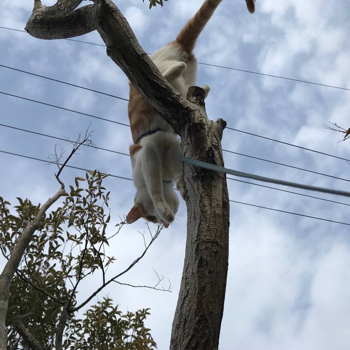 022988b3 1e4b 4e59 8a7c e9a5459d705e 1516424276568