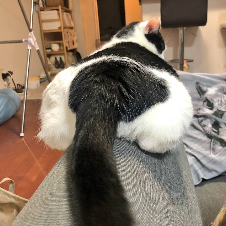 0229902a 603c 44a5 adf4 4d4367d6d502 1536628778671