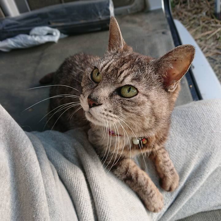 022a257e 046b 474c a19e b50d23209845 1591648397540