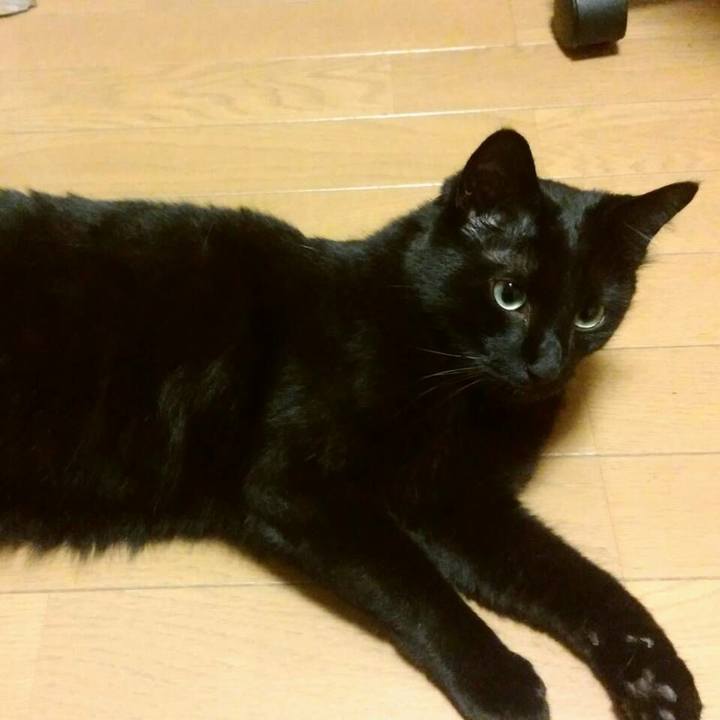 022a6f4d 18fb 4417 b8f2 b451063574a9 1531921027622