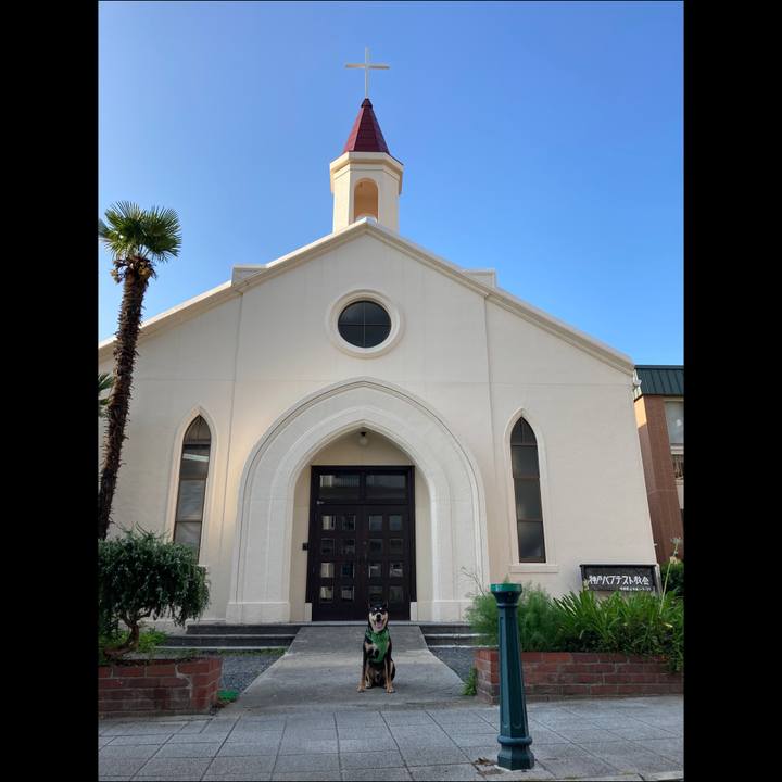 022ace65 9449 4a99 afa6 c363919b05bb 1592965561845