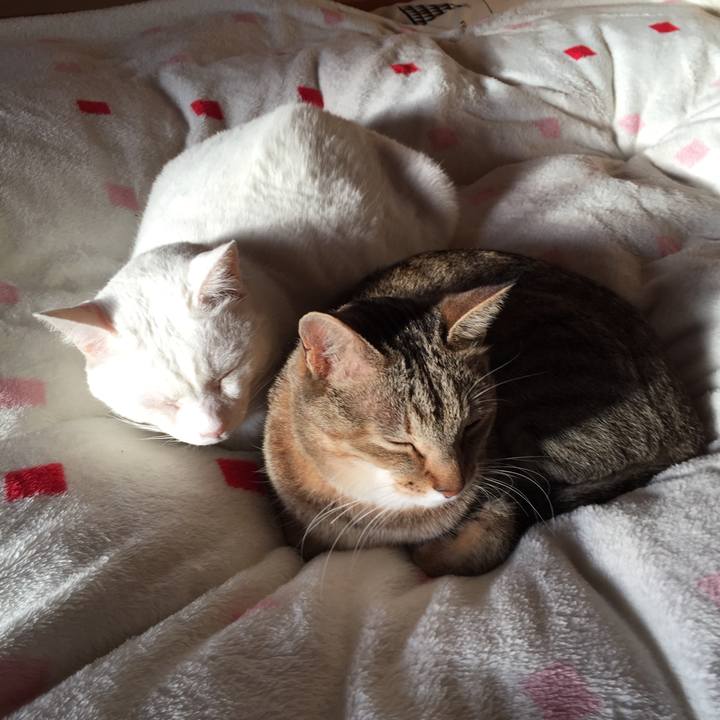 022acff3 2959 473a 98ab 997a9d047451 1551046975511