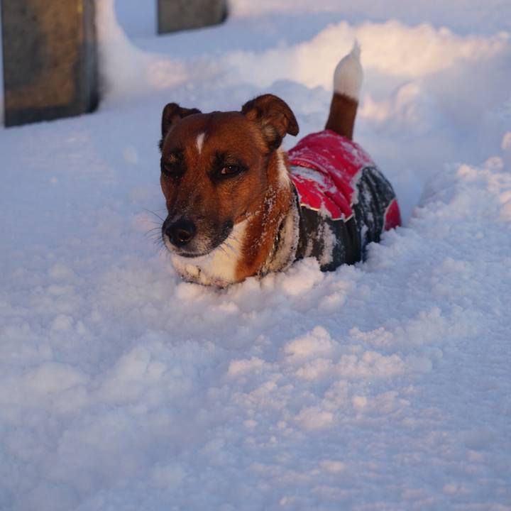 022ae70f dfeb 4e87 a4d3 37690ed76aee 1517698062926