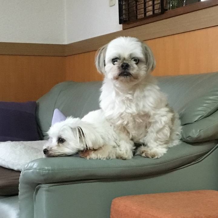 022b0ba6 0675 4154 9be8 7a0303722d64 1621250036335