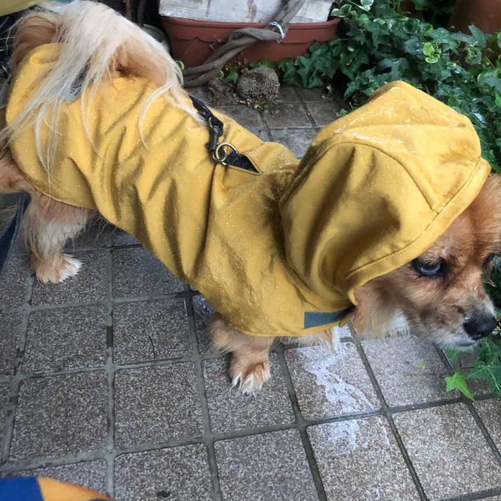 022b107c bf1c 437a ac01 096fb50fd1c4 1536959942513