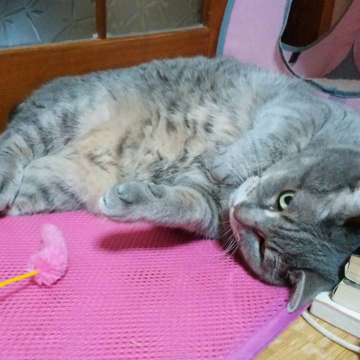 022b633a 283d 4d62 92f5 5c09cee3a5d7 1543932944237