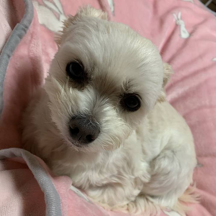 022b7aca 0054 4bf6 92e5 92f5a770e97c 1610448452079