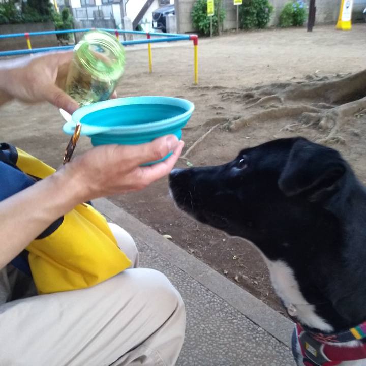 022b7cea 47fa 47ca b9d8 e8a295ac389b 1591181408896