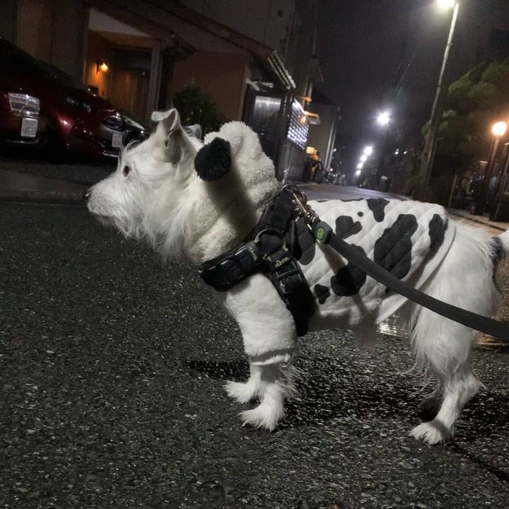 022b907d 35de 4cd6 894a 8e3244c80042 1673965088250