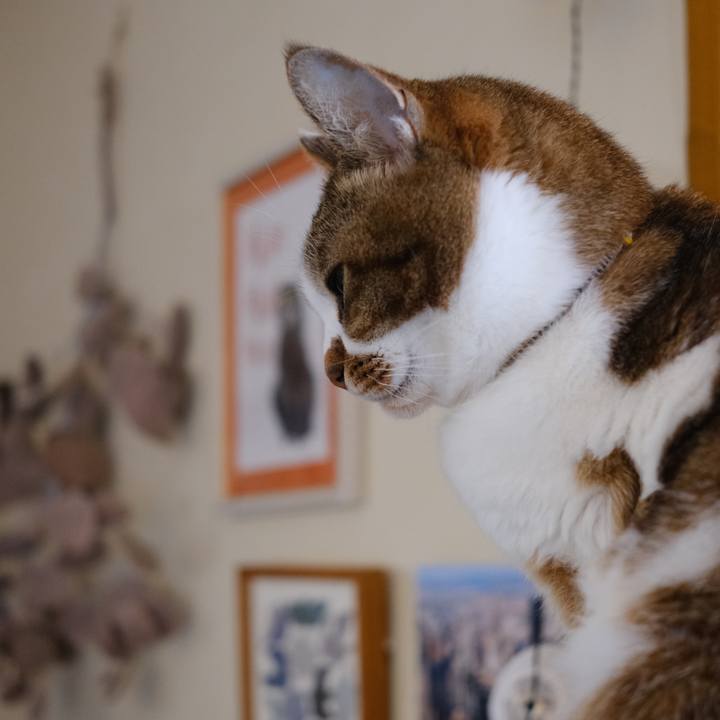 022b9f4e 11e1 4256 a721 02295ae5dacb 1674695498168