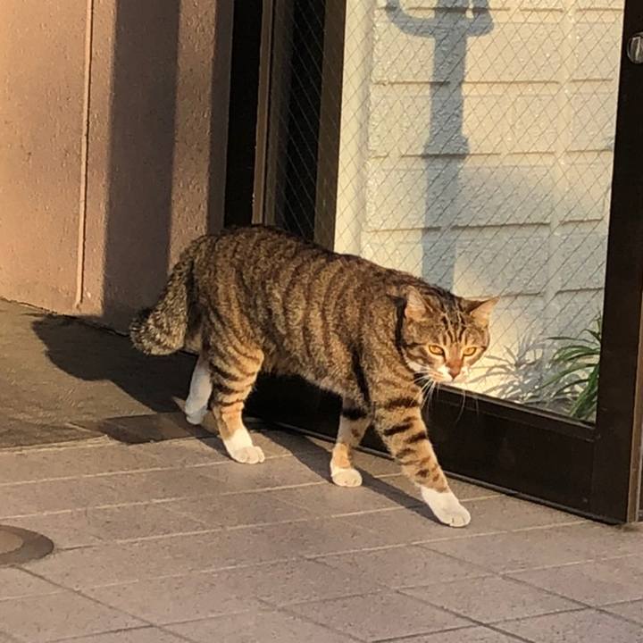 022bca5d 4b77 4e0a 9a94 9da87c1f3921 1558188806887