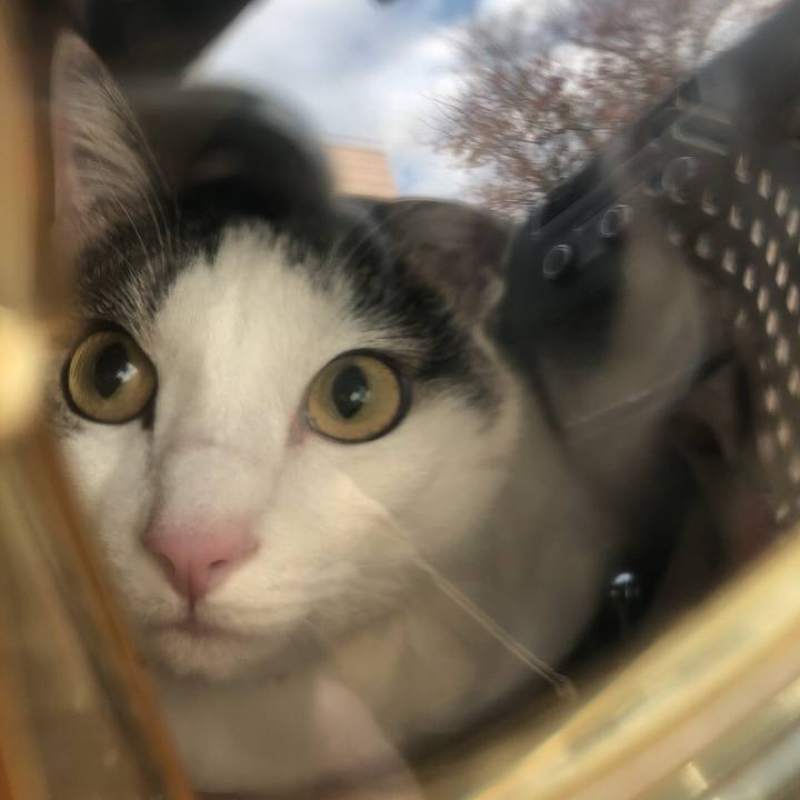 022bcaa1 72af 45c6 aa0d 8d4f67341d10 1668472668575