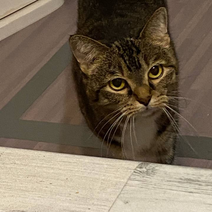 022bd3b6 8581 43b5 95a3 5918553cbfef 1663887780951